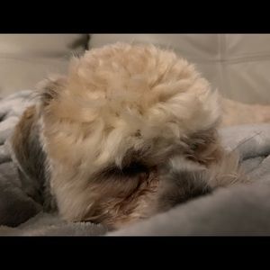 Meet your Posher, Nigel